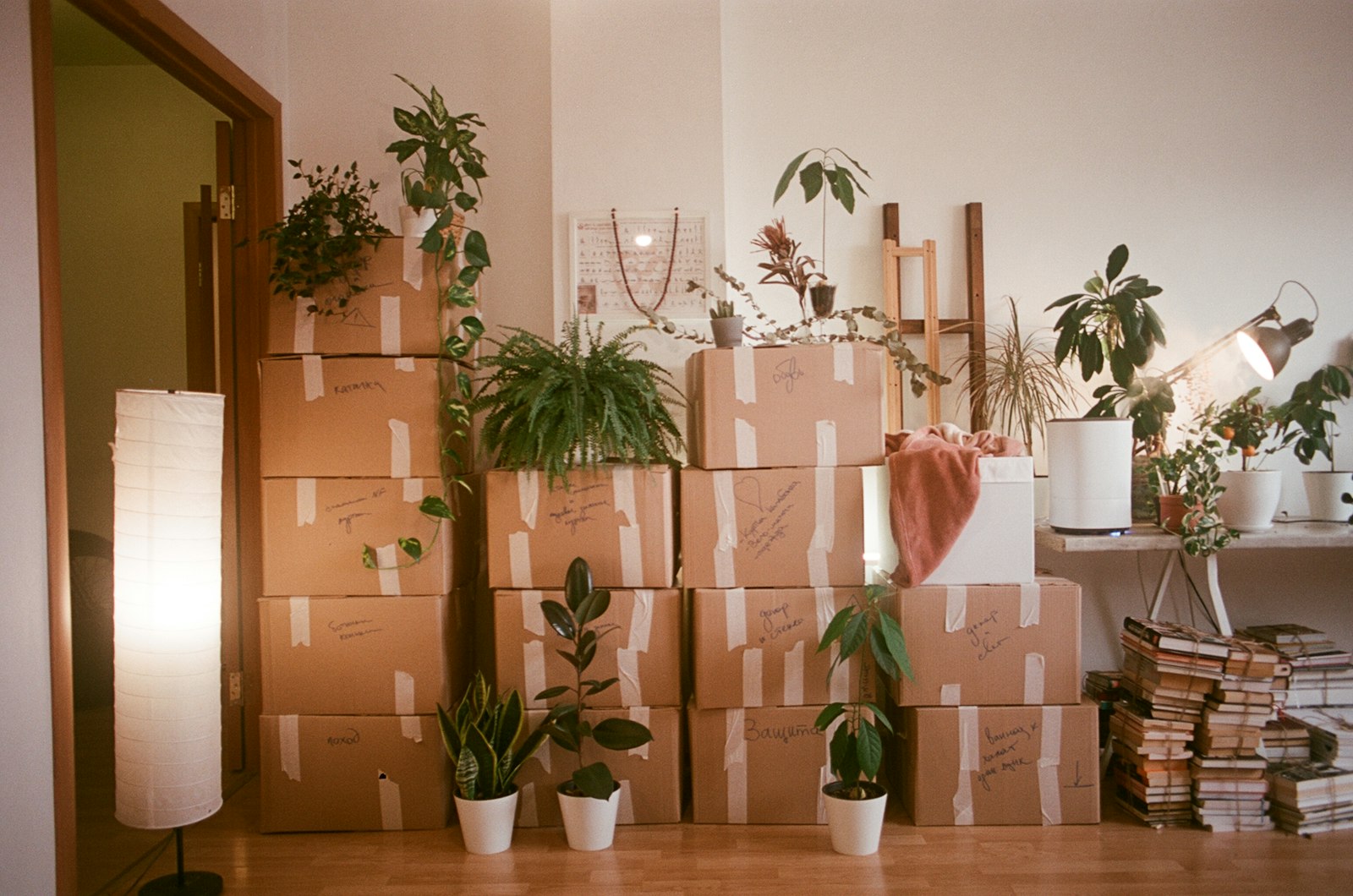 Moving boxes packed in a living room while relocating to a new home